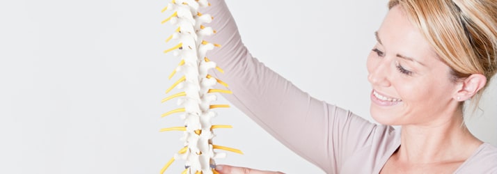 Chiropractie Vlaardingen XB-vrouwen met wervelkolommodel Chiropractie Vlaardingen XB-vrouwen met wervelkolommodel